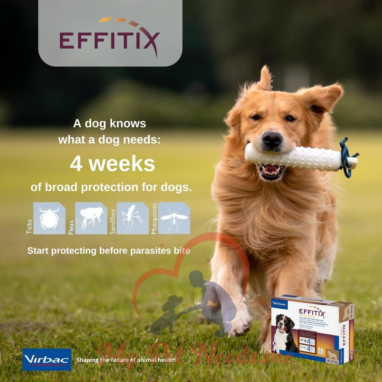 Effitix for Medium Dog - 10-20 kg 1 Effitix for Medium Dog - 10-20 kg