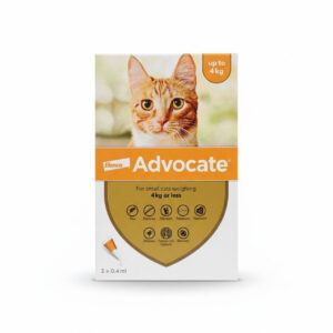 advocate cats