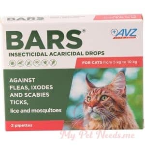 bars cats