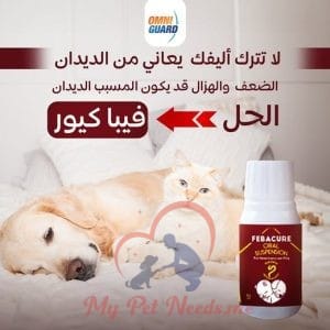 HomePage 6 omniguard Febacure فيباكيور