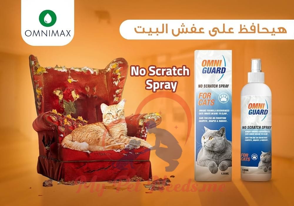 Omniguard No-Scratch Spray 1 Omniguard No-Scratch Spray