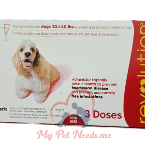 red -revolution-dogs - ampoule
