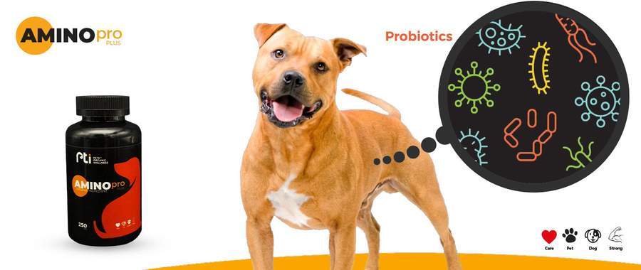 Amino Pro plus for dogs 250gm 3 Amino Pro plus for dogs 250gm