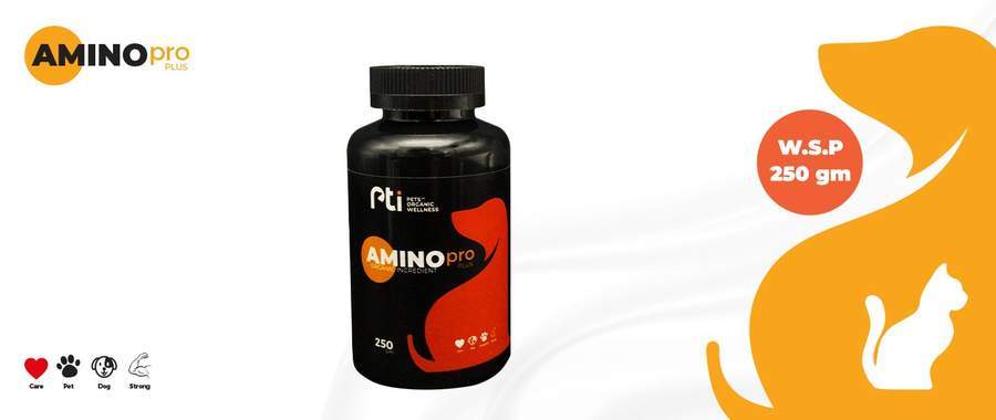 Amino Pro plus for dogs 250gm 1 Amino Pro plus for dogs 250gm
